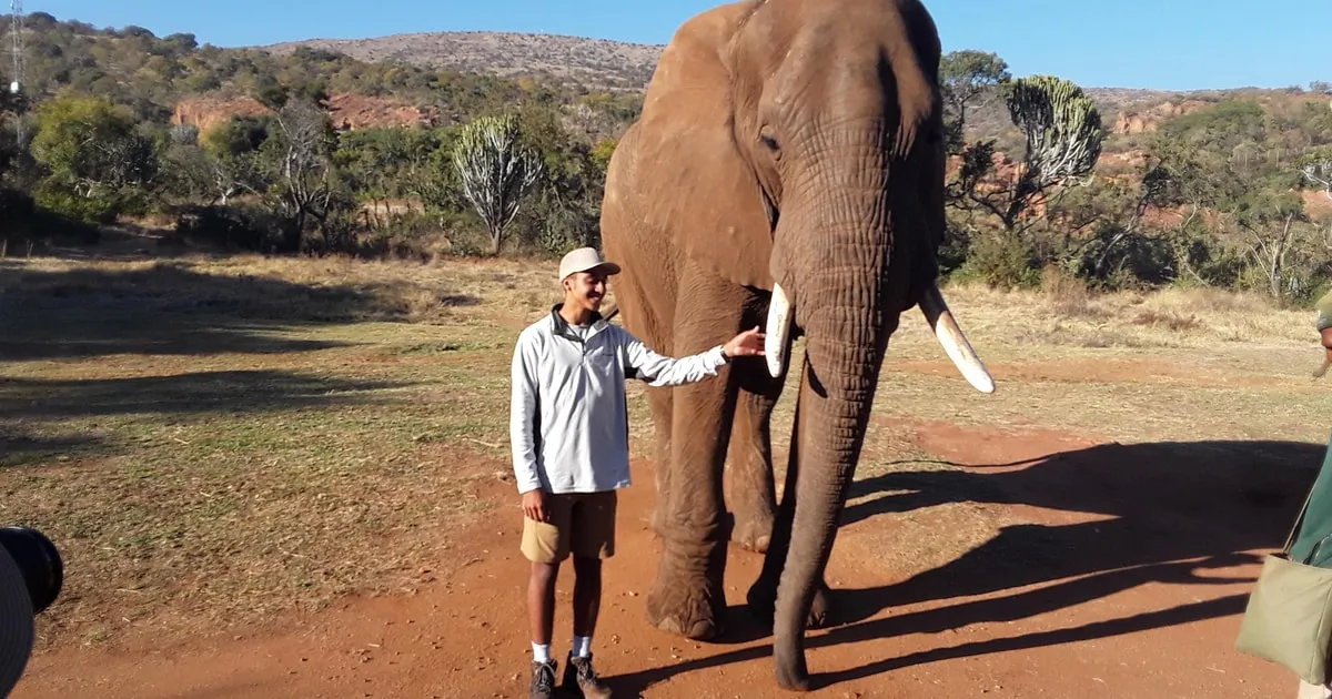 Elephant interaction at the Hartbeespoort Elephant and Monkey Sanctuary