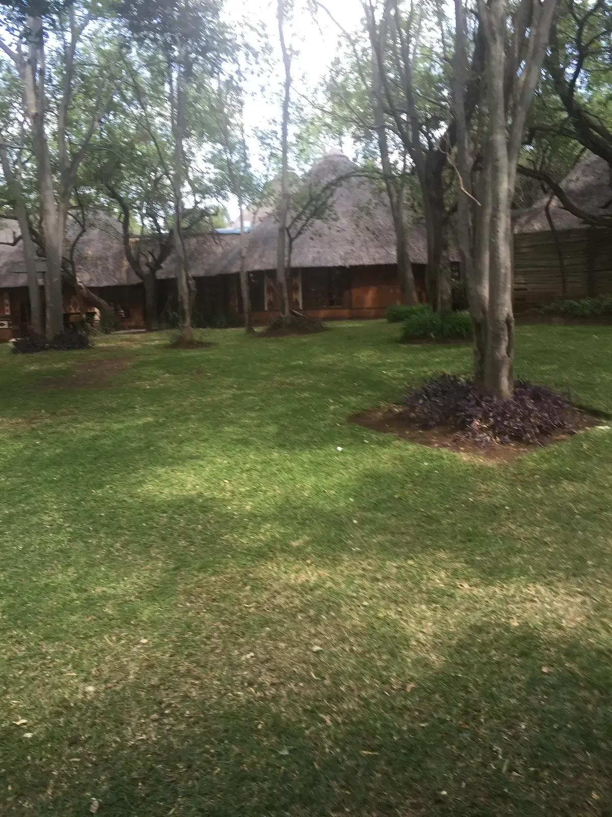 Thatched dining buildings at Lesedi Cultural Village where the buffet is served