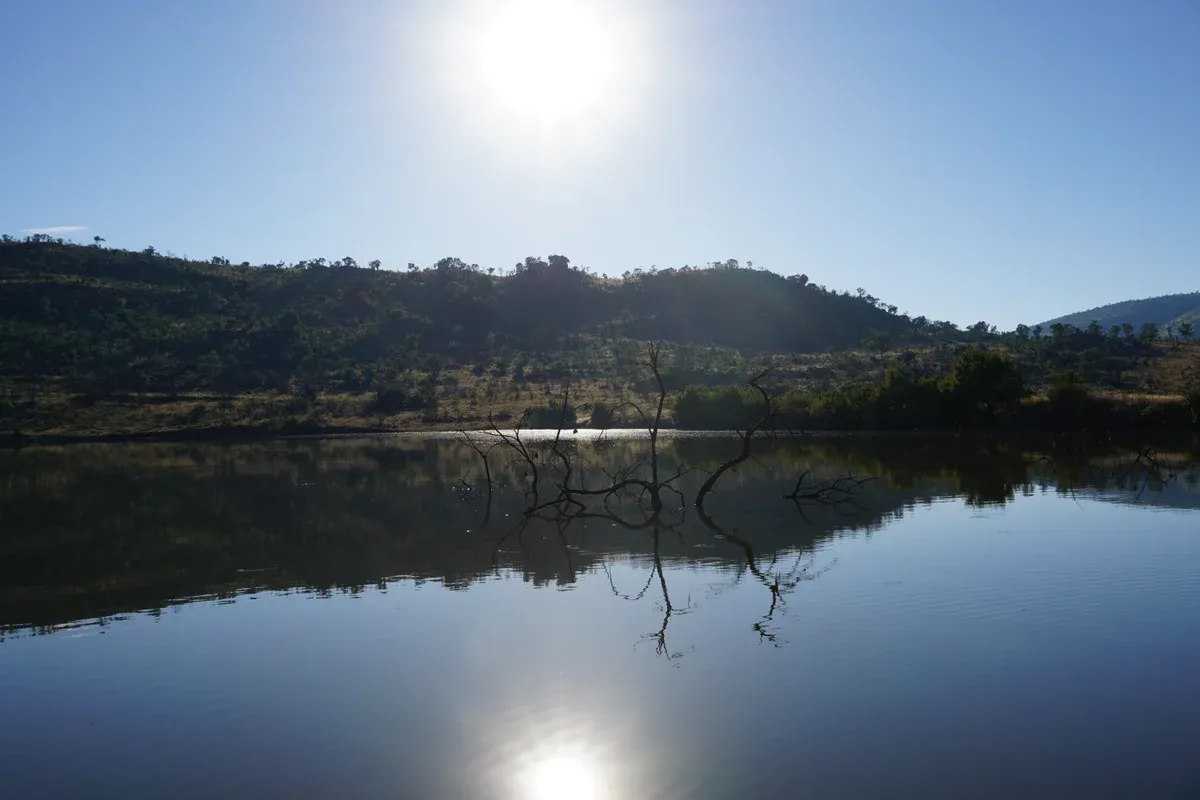 Dawn breaking over the grassland and hills of the Pilanesberg crater ring, the park the verdict starts from
